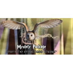 Mystery Harry Potter Package from the Emptiness Chaser